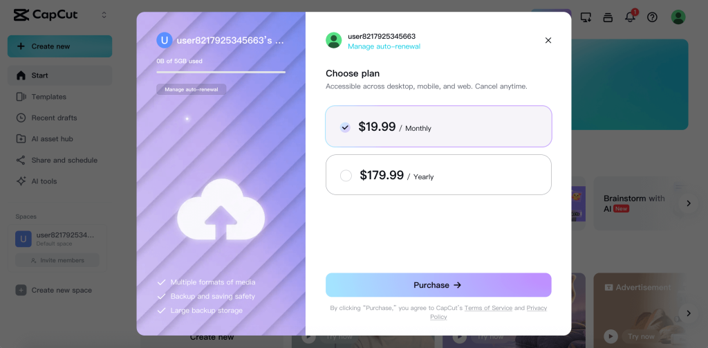 capcut pro price