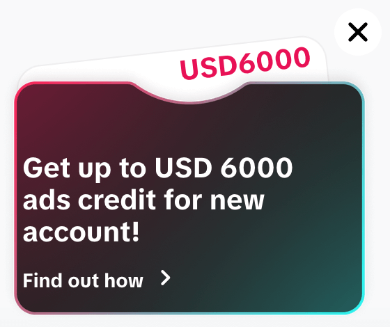 tiktok ads coupon